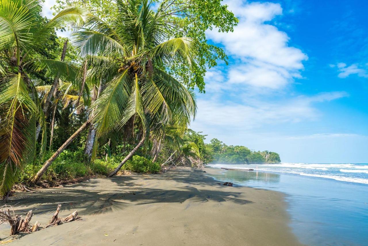 Casa Verde Puerto Viejo de Talamanca Bagian luar foto